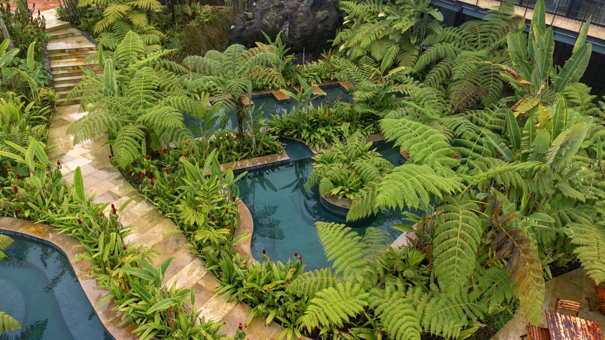 Termales El Otono Hotel Manizales Bagian luar foto The interior of the Rainforest biome