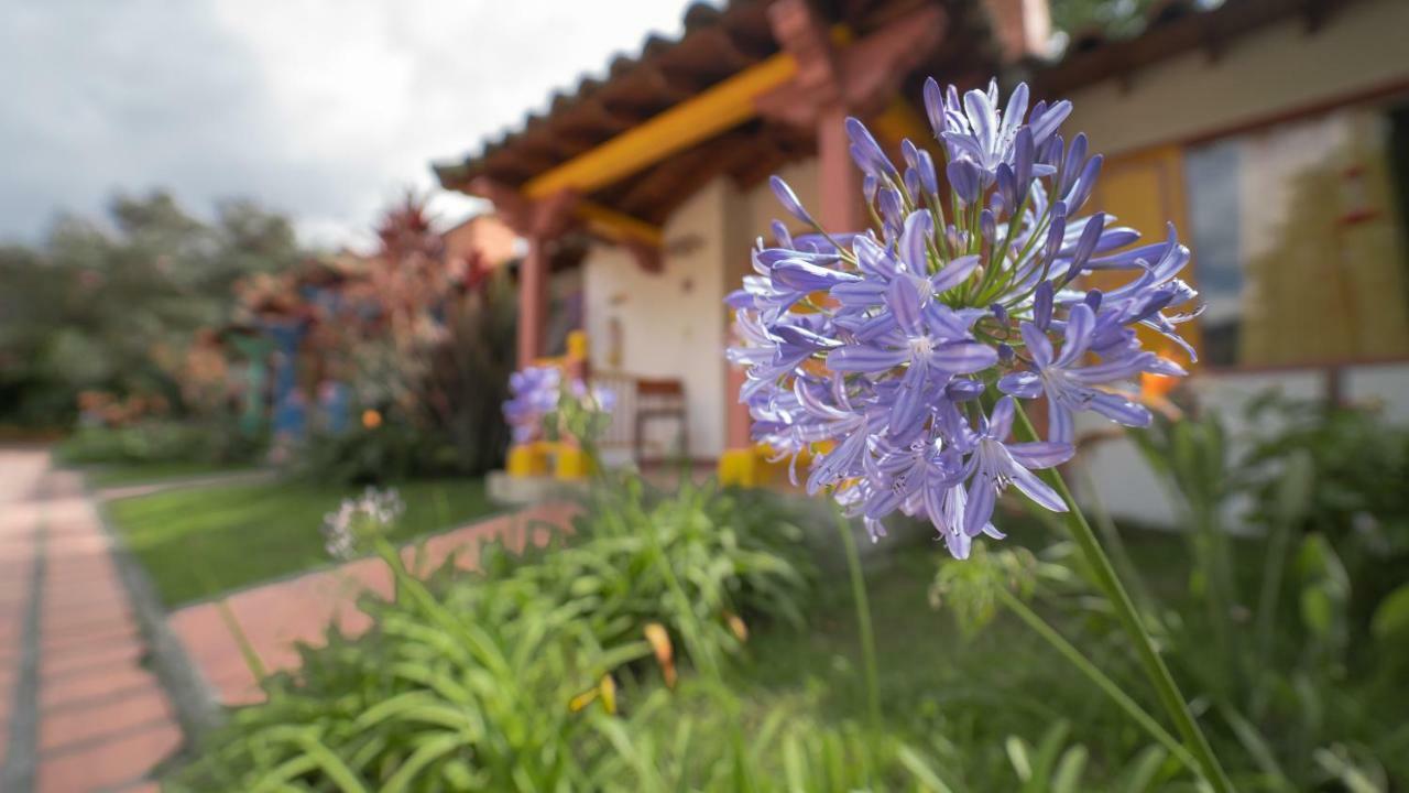 Termales El Otono Hotel Manizales Bagian luar foto Agapanthus africanus